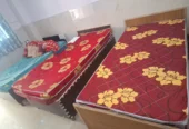 Andhra Prince PG-62 (from Guntur/గుంటూరు)