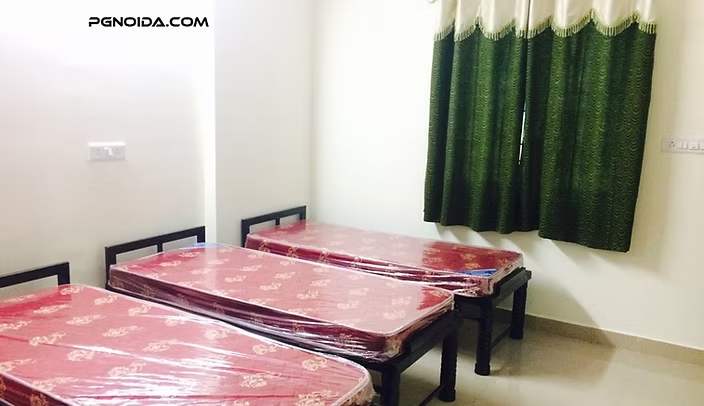 PG in Noida for Girls Sector 62 | PGNoida
